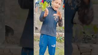 Le lo pudina chilaib pudina 💝pawansingh video dance 🌿🌿shortsvideo 💐 Nihal jiviralsong [upl. by Cuthbertson]