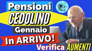 PENSIONI 👉 CEDOLINO GENNAIO CON GLI AUMENTI IN ARRIVO❗️Verifica NUOVI IMPORTI NETTI della pensione ✅ [upl. by Eppie]