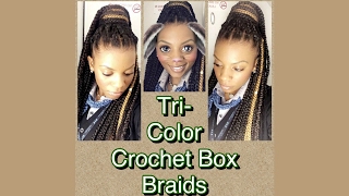 Crochet Box Braids TriColor [upl. by Nnawtna429]