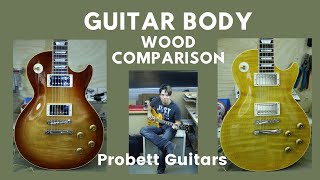 Guitar Body Wood Comparison [upl. by Anaujal]