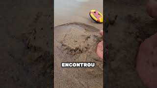 Se você vir isso na praia corra 😱 [upl. by Montano606]