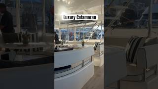 Luxury catamaran in Cape Town shorts viralshorts [upl. by Koah136]