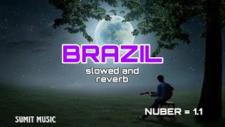 To Brazil song 💯  slowed and reverb  with dance and party video [upl. by Adnaral]