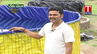 Koramenu Fish Farming by Naveen  Chenu Chelaka  TNews Telugu [upl. by Mrots]