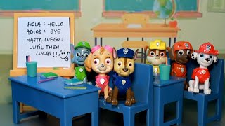 PATRULLA CANINA VUELTA AL COLE 📖 PAW PATROL PUPS AT SCHOOL ESCUELA PATRULLA DE CACHORROS 😂 [upl. by Tressa479]