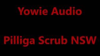 Yowie Audio Pilliga Scrub NSW [upl. by Sonja]