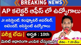 Ap లో జూనియర్ అసిస్టంట్ జాబ్స్ విడుదల  Ap Govt Jobs 2024  Ap Latest Govt Jobs 2024 free jobs [upl. by Reteip9]