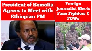 President of Somalia Agrees to Meet with Ethiopian PM  Foreign Journalist Meets with Fano amp POWs [upl. by Ynneh]