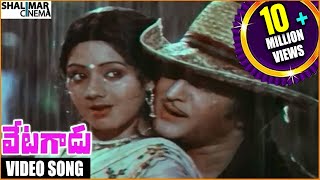 Vetagadu Movie  Aku Chaatu Pinda Thadise Video Song  Sr NTR Sridevi  Shalimarcinema [upl. by Groveman]