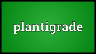 Plantigrade Meaning [upl. by Pucida]