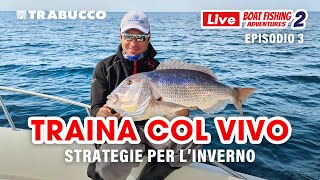 STRATEGIE per la TRAINA col VIVO ❄INVERNALE❄ a DENTICI e RICCIOLE » LBFA S2E3 [upl. by Ziul]