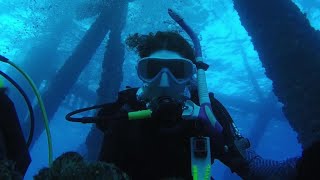 Mickey Castellano 12yearold makes history becomes worlds youngest Master Diver [upl. by Ridinger]