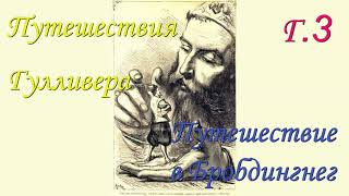 Дж Свифт Путешествия Гулливера Путешествие в Бробдингнег Г 3 [upl. by Eicnahc]