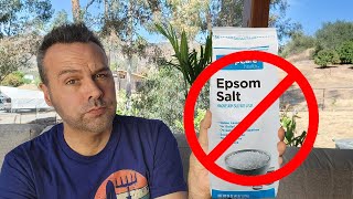 Why I Dont Use EPSOM SALTS in the Garden [upl. by Dolphin222]