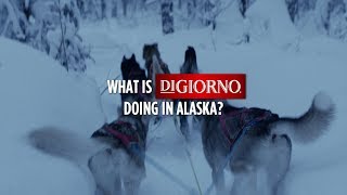 DiGiorno l Delivers to Alaska [upl. by Espy9]