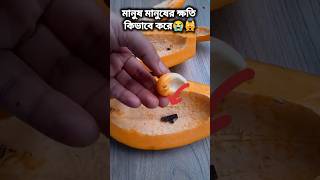 আহারে জীবন আহারে অহংকার। মানুষ মানুষের ক্ষতি কিভাবে করে থাকে😭 trending [upl. by Aikemaj603]