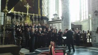 Laudate pueri  Beati omnes  Mendelssohn [upl. by Nnylyaj]