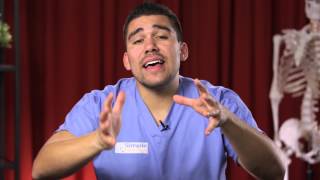 Spleen physiology What does the spleen do in 2 minutes [upl. by Nayab]