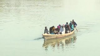 Des réfugiés camerounais au Tchad décrivent les violences [upl. by Dannye8]