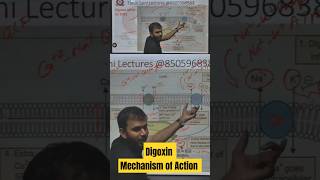 Digoxin Mechanism of action How digoxin Work  Cardiac Glycosides [upl. by Rosol]