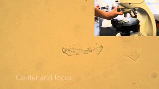 Earth Optics Video 1 Plane Polarized Light [upl. by Artinek]