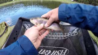 FLY FISHING UTAH  LABARON LAKE  BEAVER UTAH [upl. by Anidene]