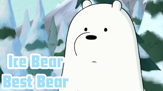 Ice Bear Moments I like [upl. by Hollinger292]