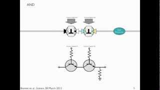 Transcriptors amp Boolean Integrase Logic BIL gates explained [upl. by Anenahs721]