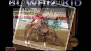 BL WHIZ KID  1996 Stallion [upl. by Leavelle960]