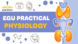 Physiology practical Urinary System [upl. by Tanitansy]