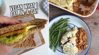 VEGAN What I eat in a day  Met onder andere tofu omelet en een heerlijke ovenschotel [upl. by Jeanelle654]