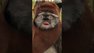 Introducing Ewok Townsend starwars parody comedy [upl. by Chaing]