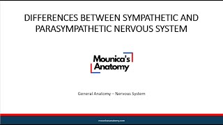 General Anatomy  Differences between Sympathetic and Parasympathetic Nervous System [upl. by Fran267]