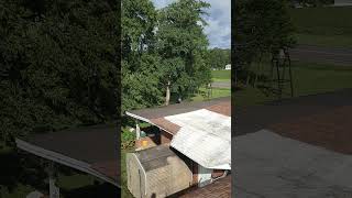 A birds eye view of the storm damage left behind by Helene [upl. by Dippold]