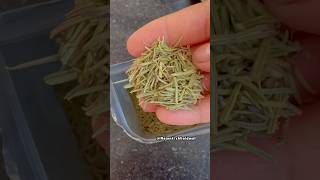 How to make rosemary water at home for hair growth shorts [upl. by Zielsdorf130]