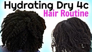 How To MOISTURIZE DRY Natural HAIR To Maximum Hydration [upl. by Junina]