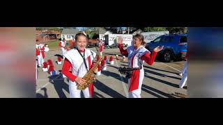 Veterans Day Parade with Marching Band [upl. by Aniri]