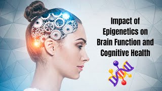 The Impact of Epigenetics on Brain Function and Cognitive Health [upl. by Ally420]