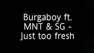 Burgaboy ft MNT amp SG  Too Fresh [upl. by Ayekat541]