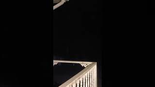 Must Watch TERRIFYING Sound FOX Screaming at NIGHT shorts foxscreaming TERRIFYINGSound mustwatch [upl. by Florette]