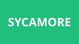 How To Pronounce Sycamore  Pronunciation Academy [upl. by Grantland311]