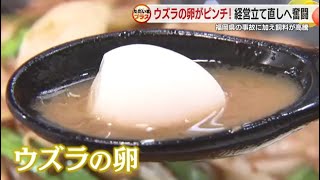 給食でウズラの卵を喉につまらせ男児死亡 消費低迷で1万匹を殺処分した生産者の苦悩と希望 [upl. by Eelanaj959]