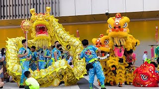 Worldwide Dragon amp Lion Dance Day《世界龙狮日》 [upl. by Ahseki]