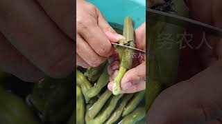 Vegetables Cutting shorts youtubeshorts agriculture farming [upl. by Andersen]