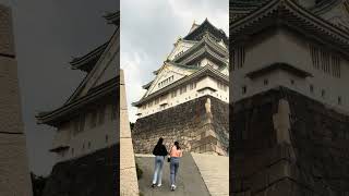 Around OSAKA CASTLE 🇯🇵 osaka osakajapan summer2024 osakacity [upl. by Margit656]