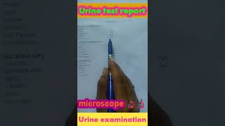 urine routine examination test report [upl. by Esirahc42]