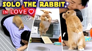 Rabbit Body Language 4 Strangest Rabbit Behaviors When Theyre in Love [upl. by Avonasac203]