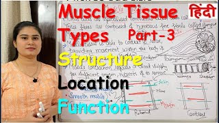 Muscle Tissue in Hindi  Part3  Types  Structure  Functions  Location  Human Tissue Lecture [upl. by Amargo276]