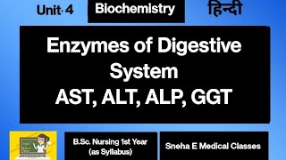 Enzymes of Digestive System AST ALT ALP GGT [upl. by Corydon171]