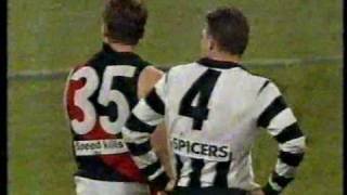 1994 Collingwood Vs Essendon Last Qtr Round 20 [upl. by Adrial]